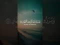 احمد النفيس سورة إبراهيم Quran Recitation 