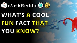 What’s A Cool Fun Fact That You Know | R/askreddit
