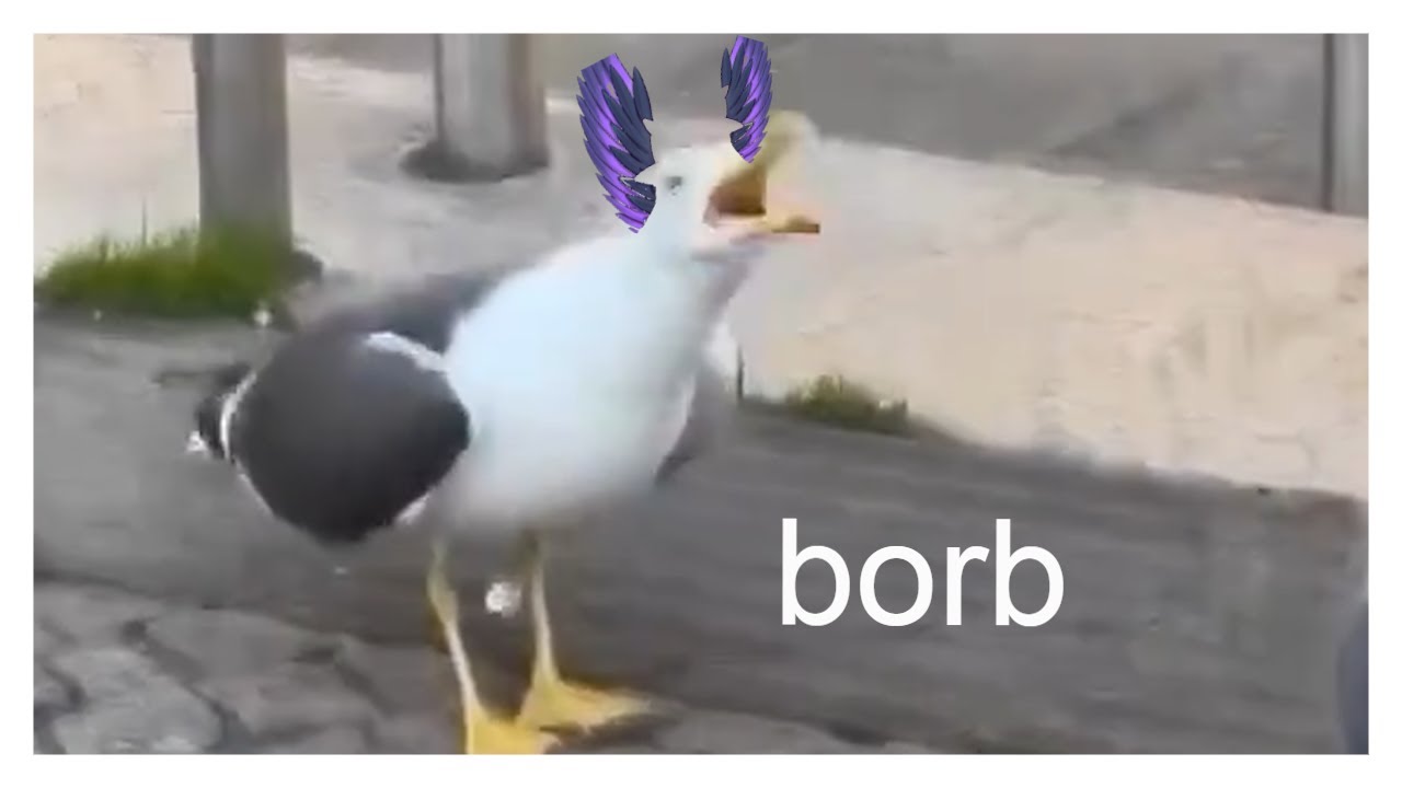 borb - YouTube