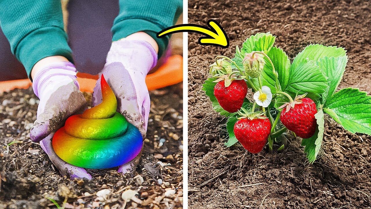 Excellent Garden tricks to grow something special