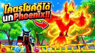 EP.1 เล่นครั้งแรกผมฟักไข่ได้นก Phoenix โคตรโชคดี!! Ride A Pet Roblox screenshot 1