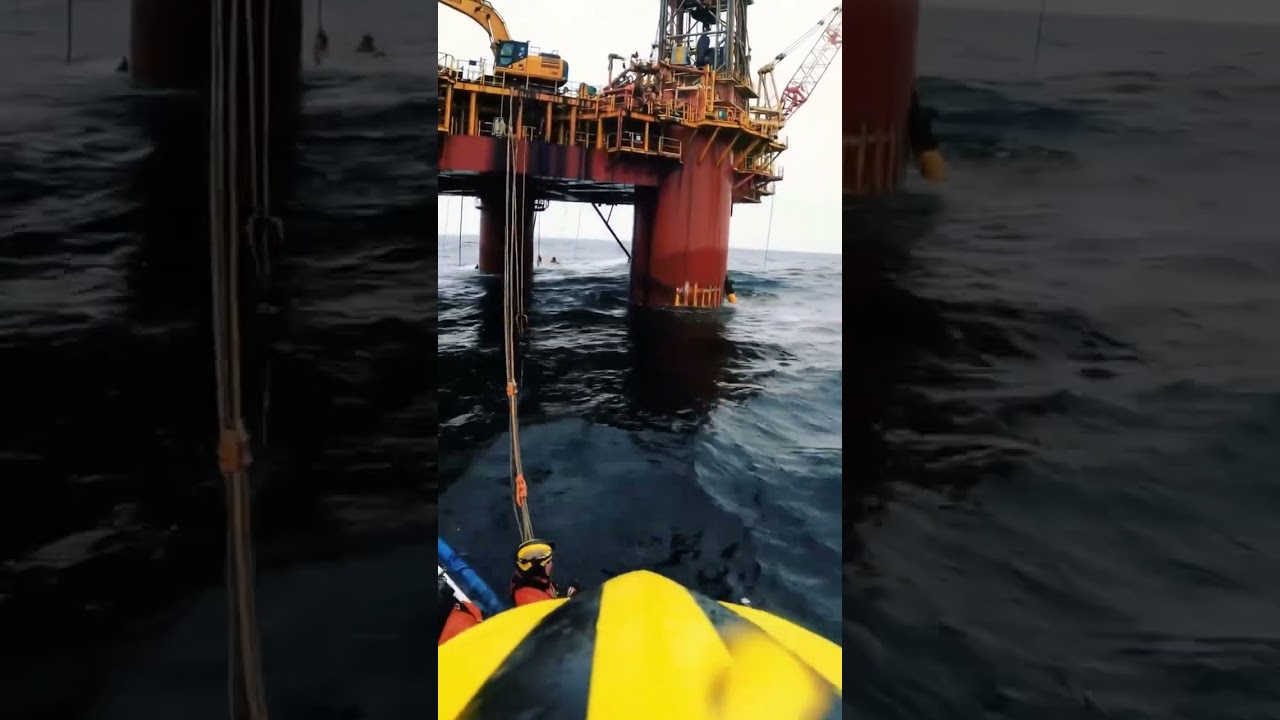 You won't believe how they get to work! 