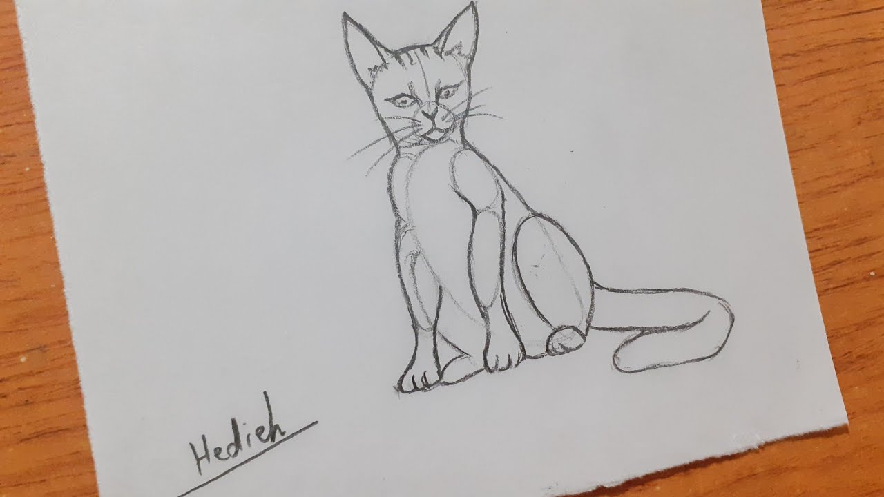 How to Draw a Cat Step by Step آموزش قدم به قدم نقاشی گربه - YouTube