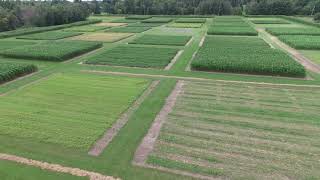 UMN Long-Term Agricultural Research Network