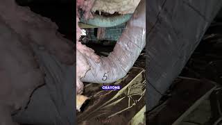 Excessive moisture in the crawlspace is a no-no#homeinspection #homeinspector #inspection #mold