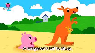 Did You Ever See My Tail Animal Songs Pinkfong Songs For Children