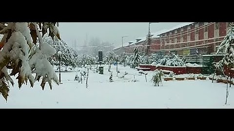 Relaxing Snowfall 2 Hours - Sound of Light Wind Breeze and Falling Snow in Forest (Part 2)