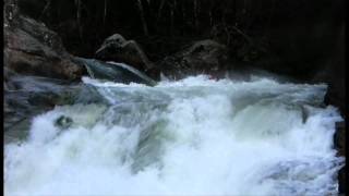 Río Oitaben, Galicia, Spain.