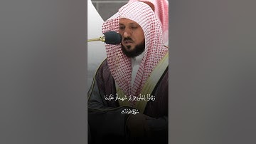 وَيَومَ يُحشَرُ أَعداءُ اللَّهِ إِلَى النّارِ فَهُم يوزَعونَ﴾ماتيسر من سورة فصلت"الشيخ ماهر المعيقلي