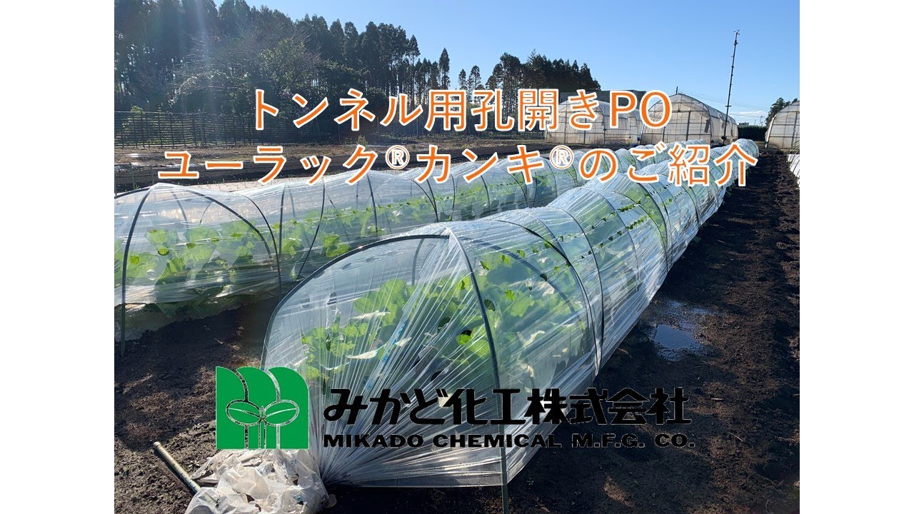 散播く