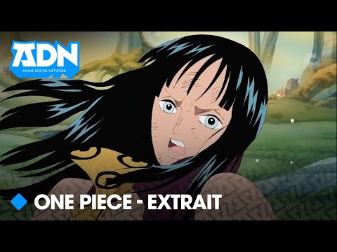 👒🌊 One Piece | Épisode 405 : L'équipage s'est éteint | ADN