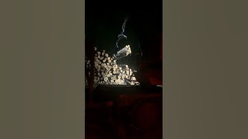 Getting pulpwood loaded at night #loggerlife #trees #logcutter #logcutting #maine #logging