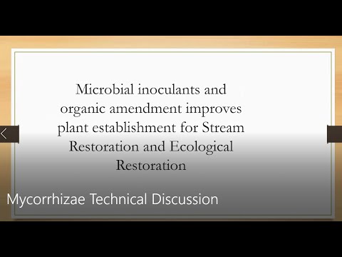 Mycorrhizae Technical Discussion