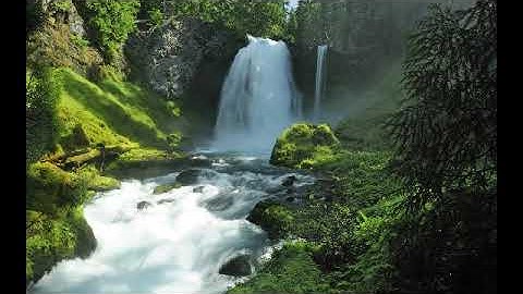 سورة ياسين بصوت القارئ ظفر القليب