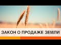 Земельный закон: кто и как будет покупать украинскую землю