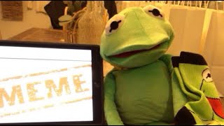 Kermit Reacts To His Memes