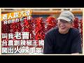 "70萬度"辣到連滾帶爬!從台灣人變「老曹」台農成都圓夢　種出百種"火辣商機"【素人說大陸】‪@中天電視CtiTv  ‪‪@全球大視野Global_Vision