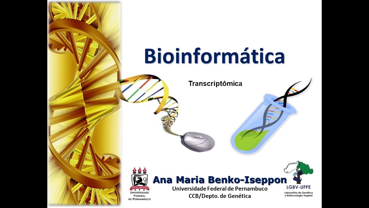Transcriptômica - uma introdução - YouTube