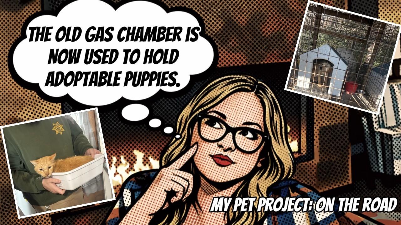 My Pet Project Episode 7 featuring a visit to Franklin County Animal Control