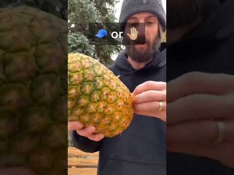 Pineapple Hack 🍍