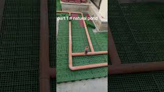 natural pond bog filter and airlift system combination