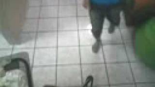 mayson psy trance rebolation