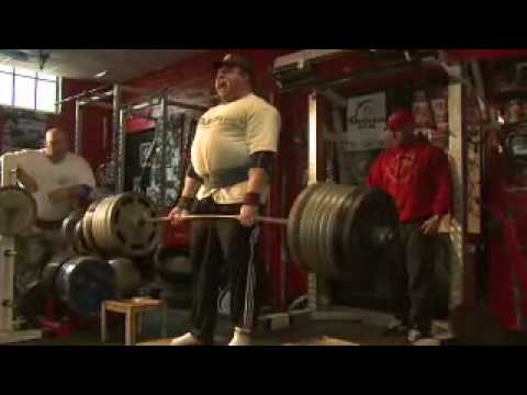 1003lb andy bolton dvd