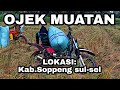Skill para joki motor Taksi ojek muatan  ,joki bayaran  di medan sawah  