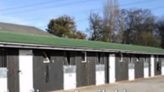 Riding Schools - Runningwell Equestrian Club