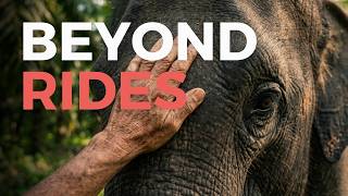 The Elephant in the Room: Truth, Controversy & Captivity