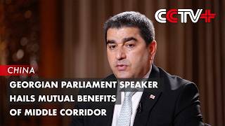Georgian Parliament Speaker Hails Mutual Benefits of Middle Corridor