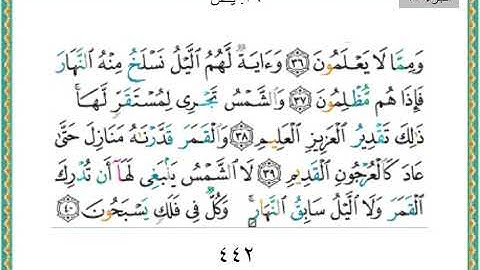 سورة يس 36 سعد الغامدي