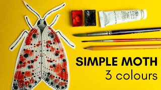 How to paint a watercolour moth using only 3 colours. Step by step tutorial.