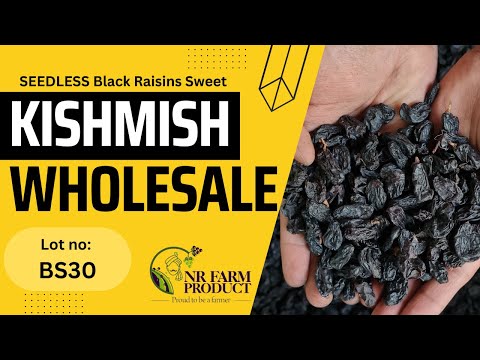 Black Kismis Rate Per Kg