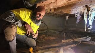 Mold, Moisture & Water Damage In Your Home? Here's What To Expect On An Inspection!