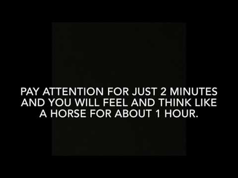 Feel like a horse - Simple hypnosis