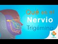 ¿Qué es el Nervio Trigémino? | Tu Salud Guía