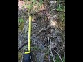 Bigfoot Sighting Proof of July 2020 Rocks Thrown then tracks Found!