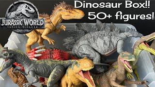 Dinosaur Box!! 50+ Dinosaur Figures!!