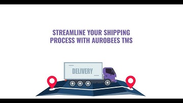 Streamline Your Shipping Process With Aurobees TMS