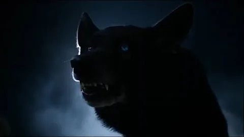 Qual temporada Derek volta?
