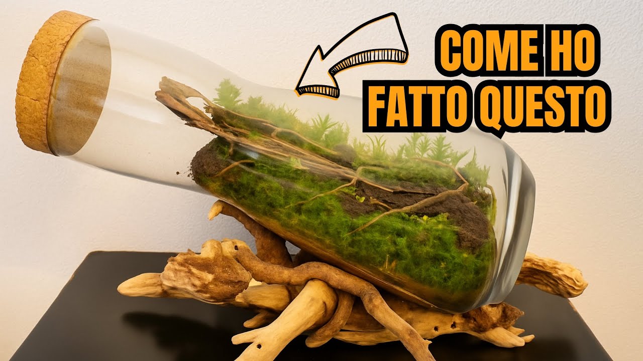 Soprammobile vivente - un ecosistema in un vaso