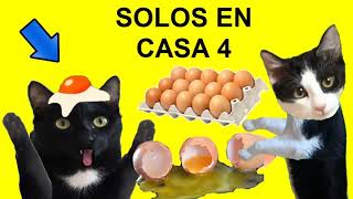 Luna and Estrella Cats Home Alone Chapter 4: Egg Games / Kitten Videos screenshot 4