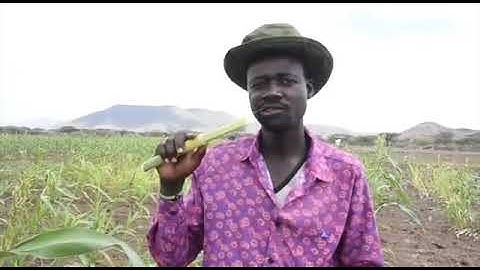 Kakujuk Spate Irrigation in Northern Turkana