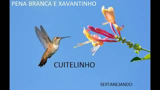 PENA BRANCA E XAVANTINHO - CUITELINHO