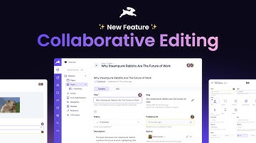 Directus Collaborative Editing - Collaborate Without the Chaos