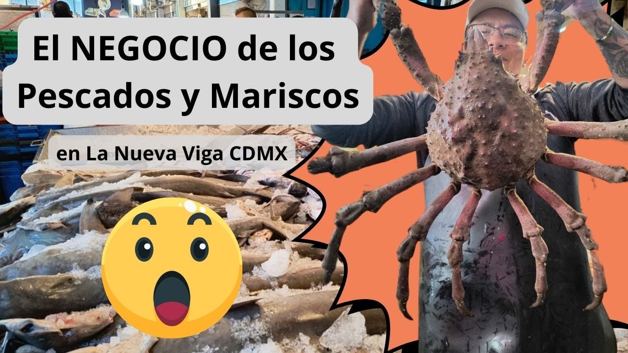 El mercado MÁS GRANDE de pescados y mariscos de Latinoamérica: La NUEVA VIGA