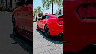 MUSTANG GT 2019 STD COYOTE 3G #radixgarage #mustang #s550mustang #mustang_fans #coyote