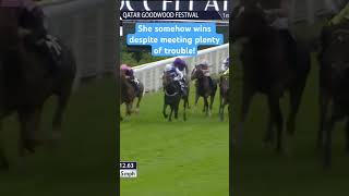 This horse somehow wins! #horses #horseracing #racingtv