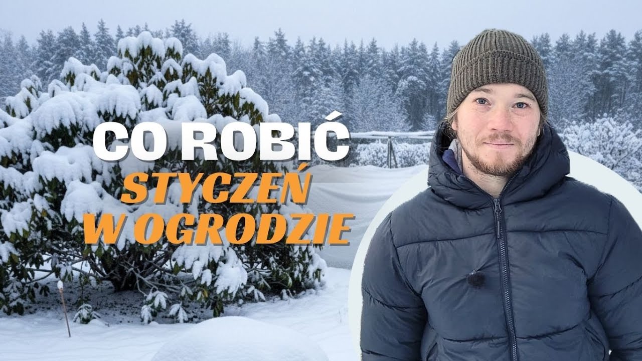 OGRODNICTWO W STYCZNIU: CO ROBIĆ